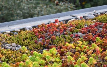 the cost of Faichem green roof installation