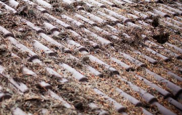 Faichem roof cleaning companies