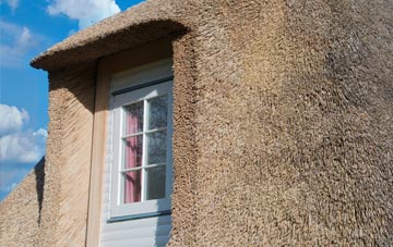 Faichem thatch roof disadvantages